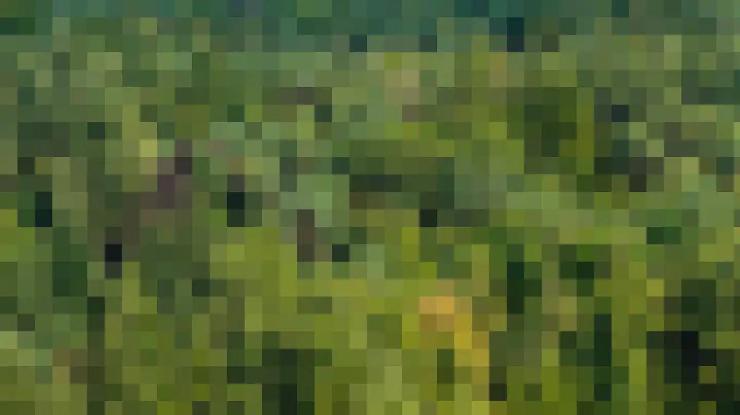 Soerelseweg 18 04 Epe thumbnail 29