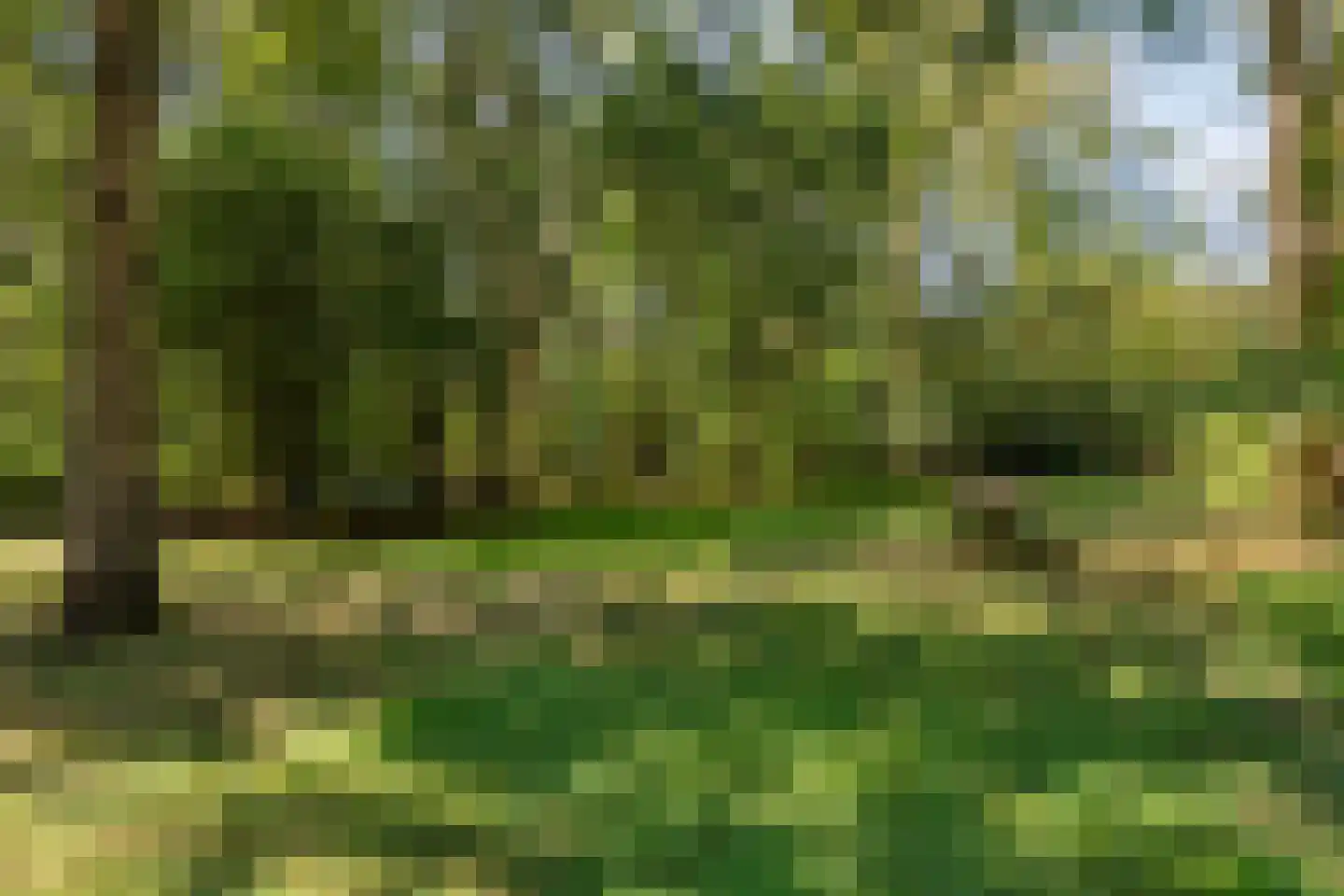 Soerelseweg 18 04 Epe thumbnail 30