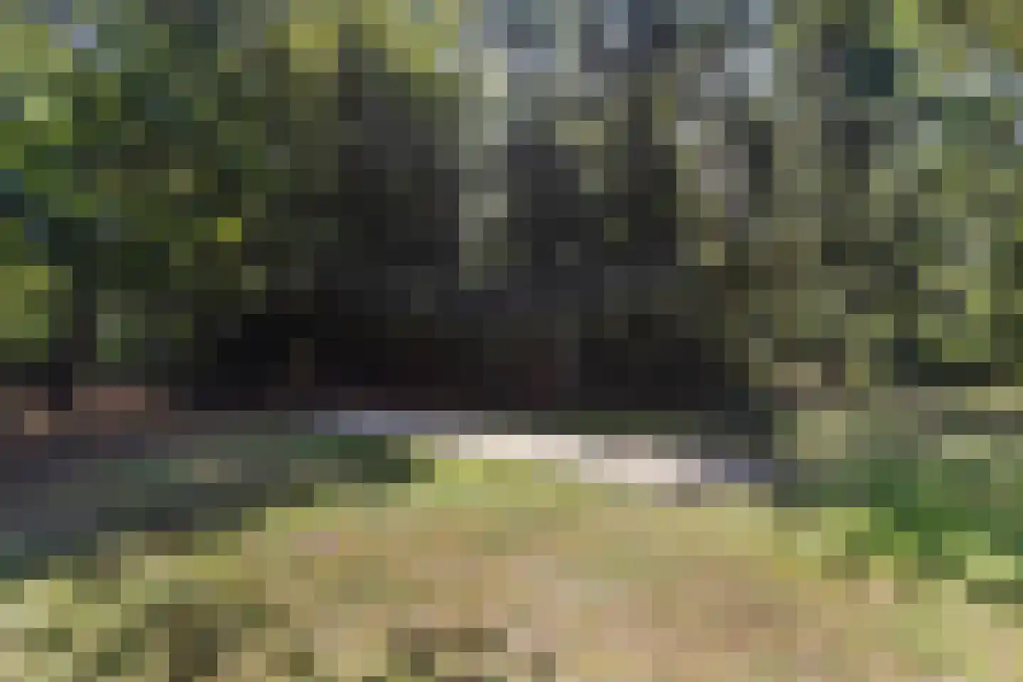 Soerelseweg 18 04 Epe thumbnail 31