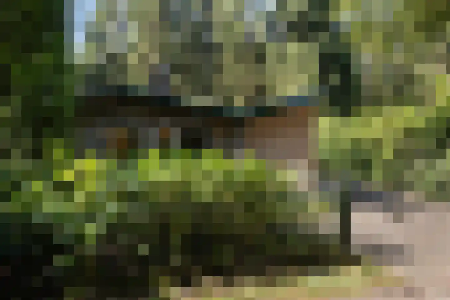 Soerelseweg 18 04 Epe thumbnail 4