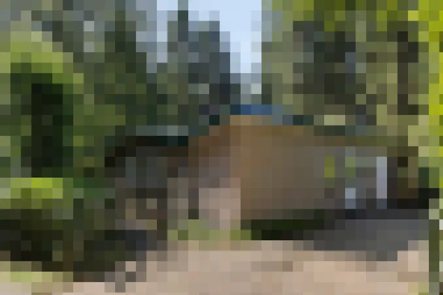 Soerelseweg 18 04 Epe thumbnail 5
