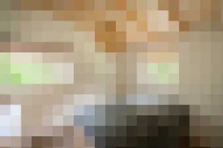 Soerelseweg 18 08 Epe thumbnail 13