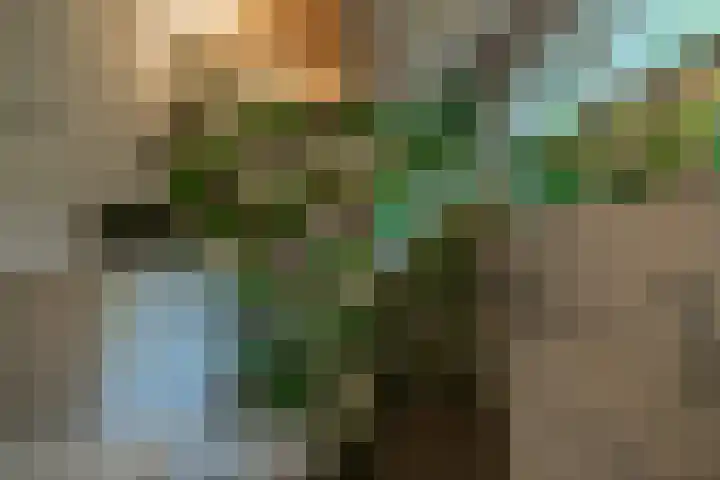 Soerelseweg 18 08 Epe thumbnail 15