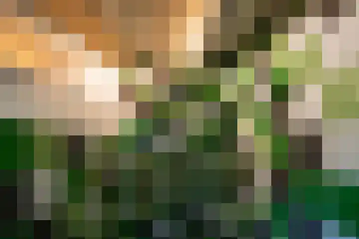 Soerelseweg 18 08 Epe thumbnail 16