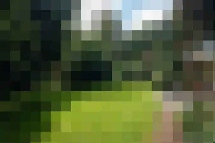 Soerelseweg 18 08 Epe thumbnail 17
