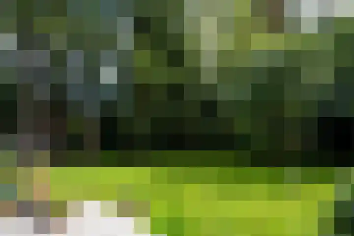 Soerelseweg 18 08 Epe thumbnail 18