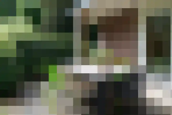 Soerelseweg 18 08 Epe thumbnail 19
