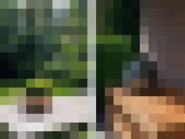 Soerelseweg 18 08 Epe thumbnail 21