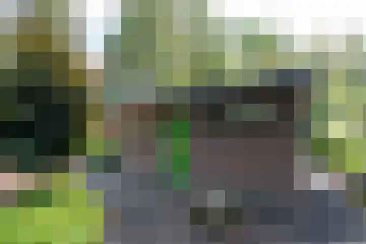 Soerelseweg 18 08 Epe thumbnail 24