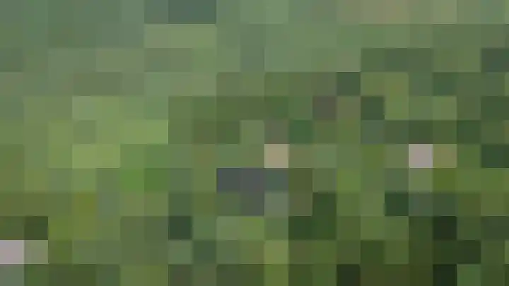 Soerelseweg 18 08 Epe thumbnail 26