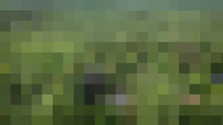 Soerelseweg 18 08 Epe thumbnail 4