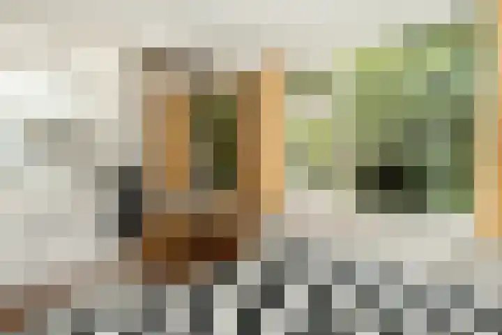 Soerelseweg 18 24 Epe thumbnail 16