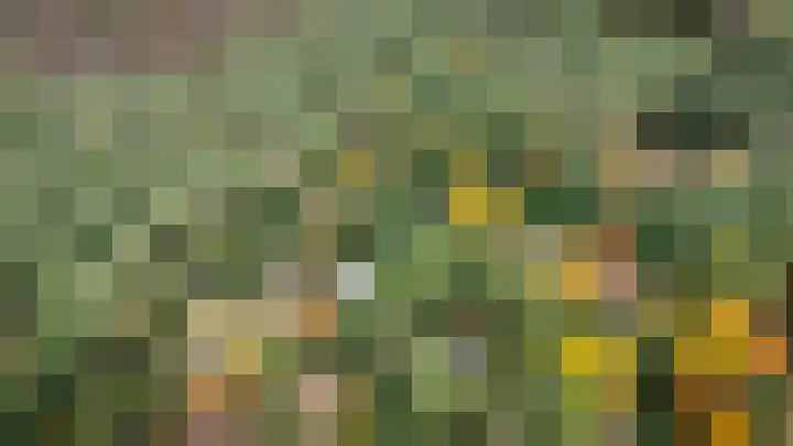 Soerelseweg 18 24 Epe thumbnail 22