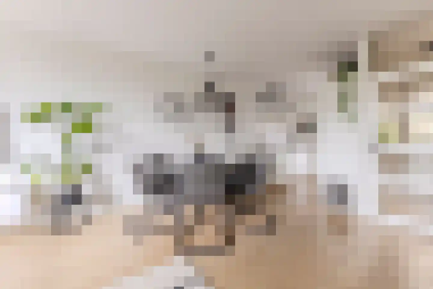 Soerense Beek 4 Zaandam thumbnail 12