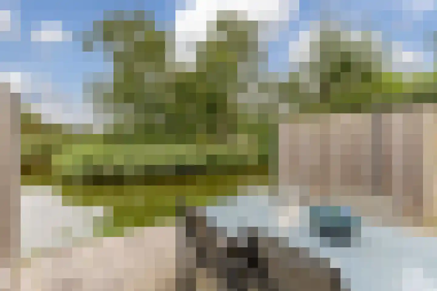 Soerense Beek 4 Zaandam thumbnail 14