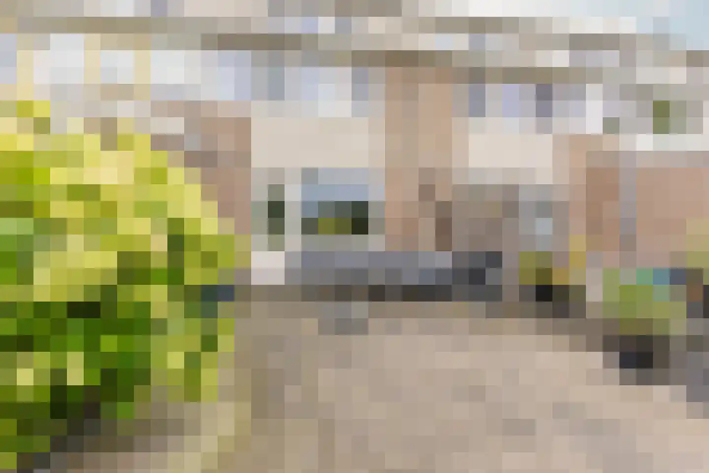Soerense Beek 4 Zaandam thumbnail 16