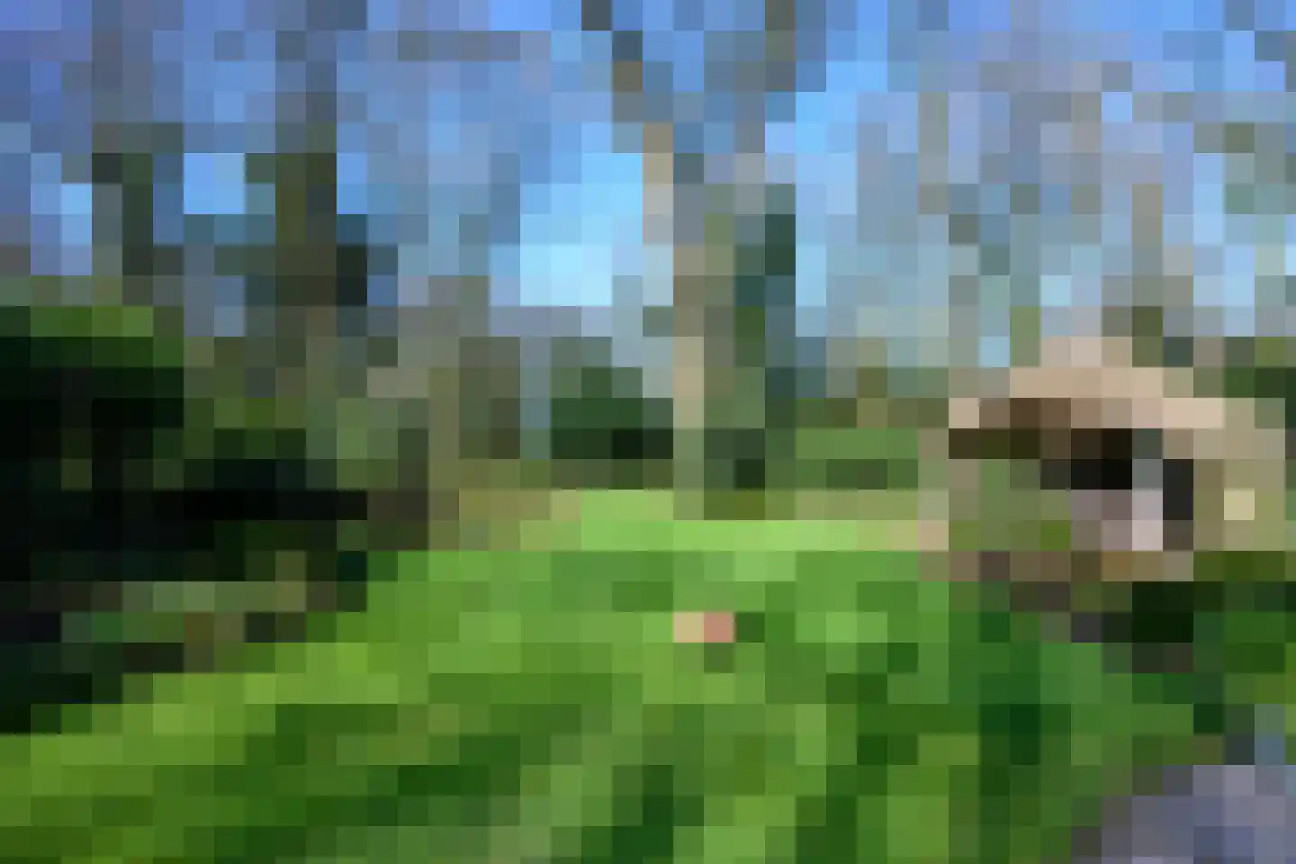 Soerense Zand Noord 18 Eerbeek thumbnail 32