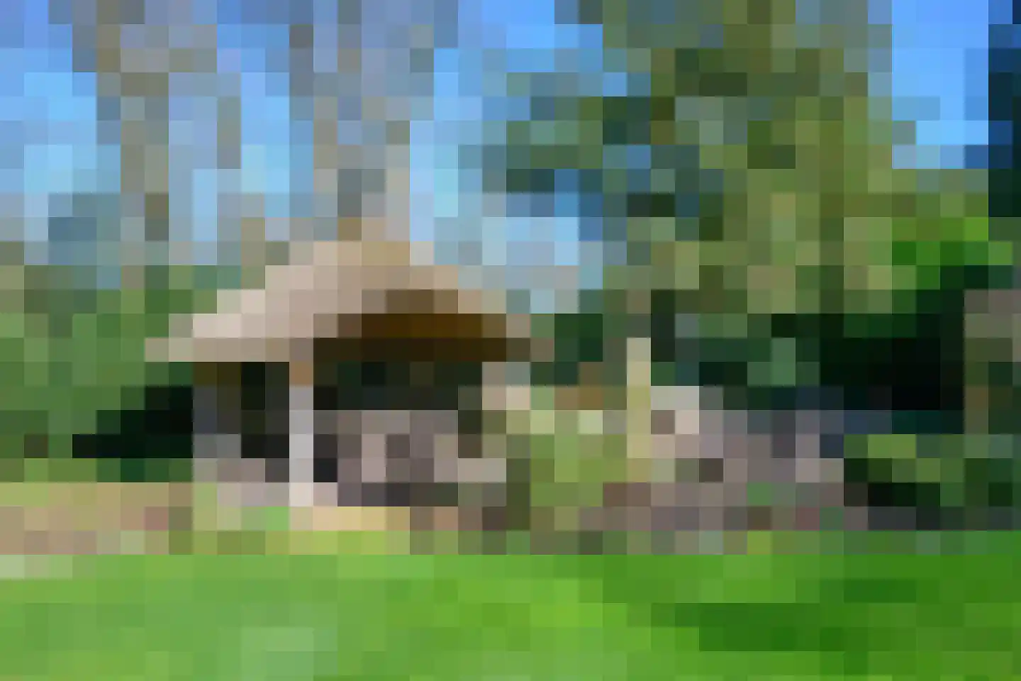 Soerense Zand Noord 18 Eerbeek thumbnail 33