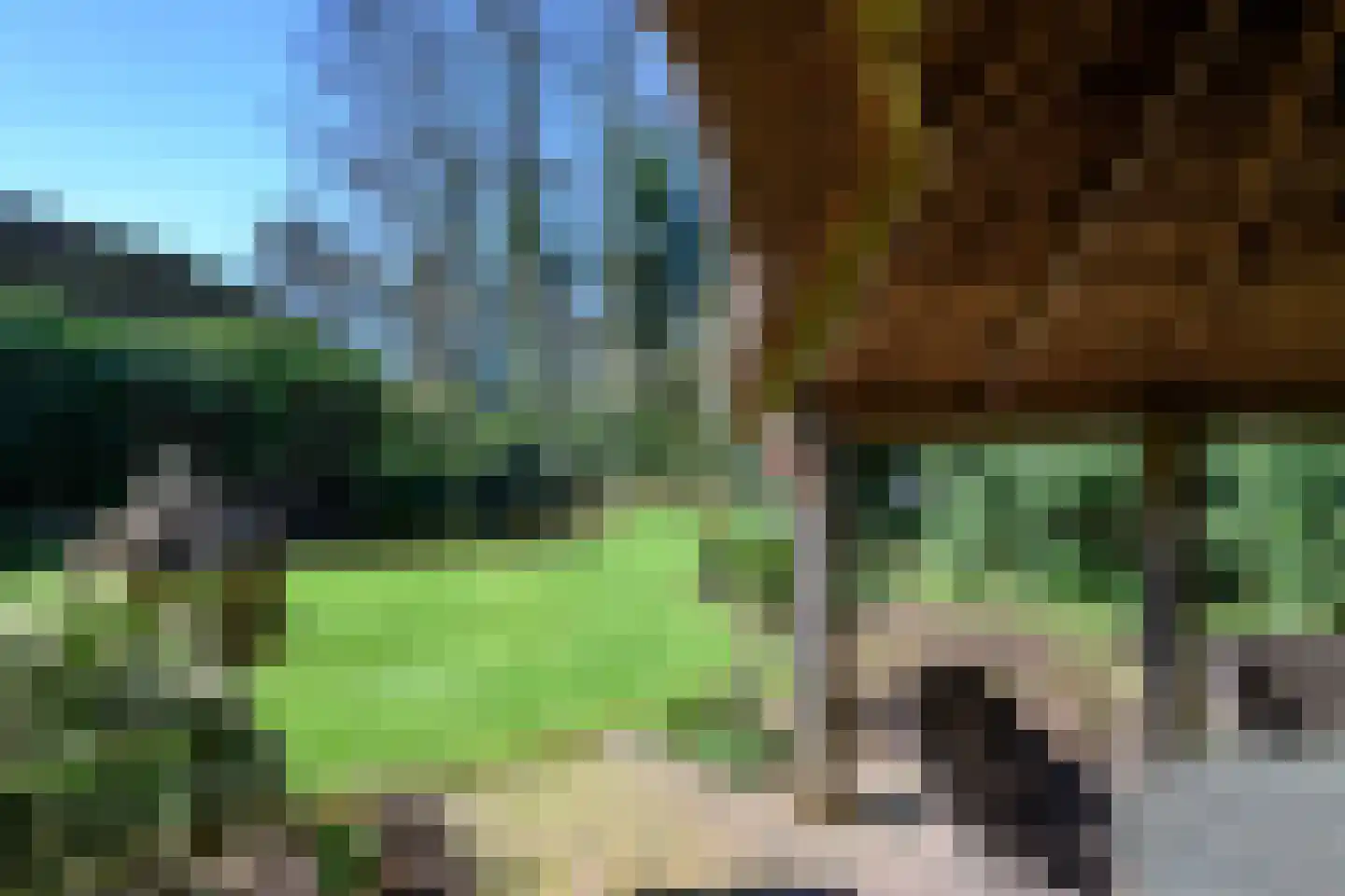 Soerense Zand Noord 18 Eerbeek thumbnail 34