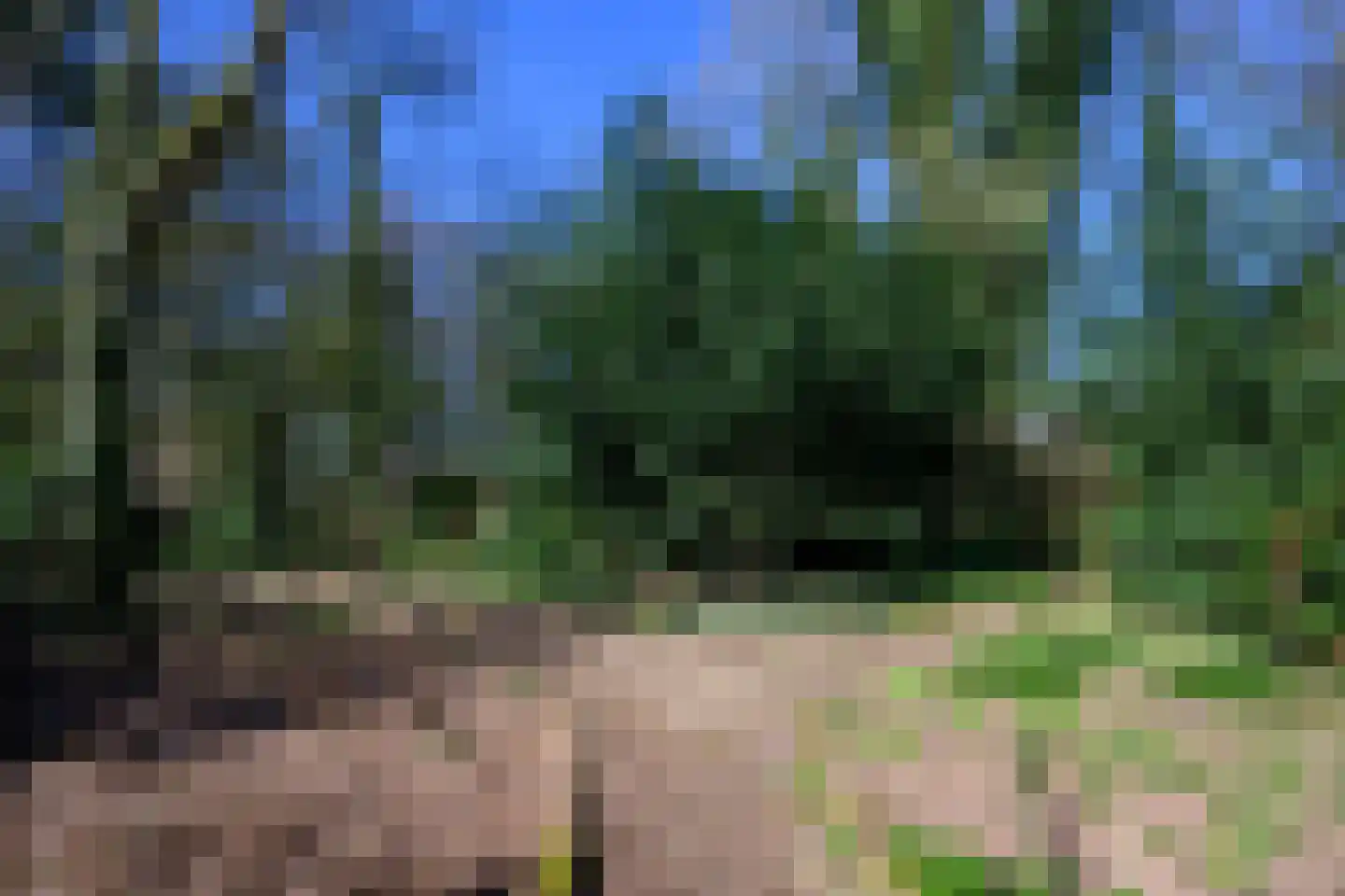Soerense Zand Noord 18 Eerbeek thumbnail 37