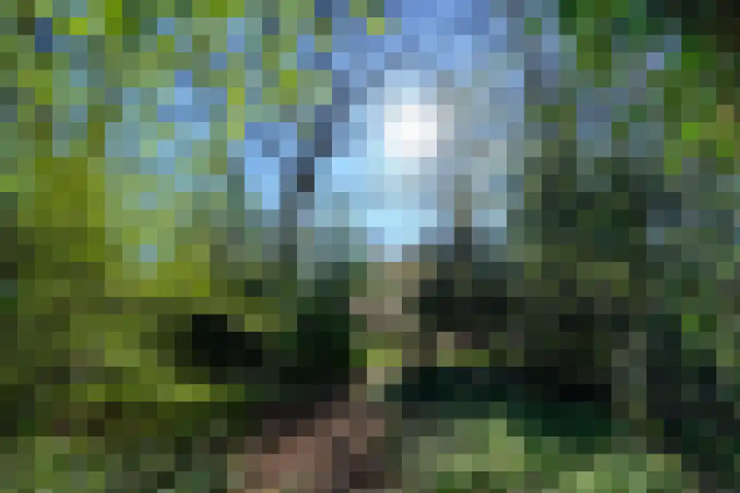 Soerense Zand Noord 18 Eerbeek thumbnail 38