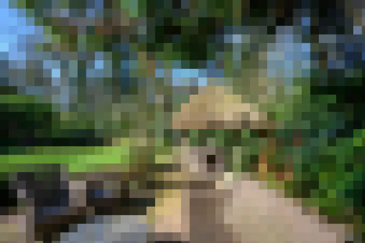 Soerense Zand Noord 18 Eerbeek thumbnail 39