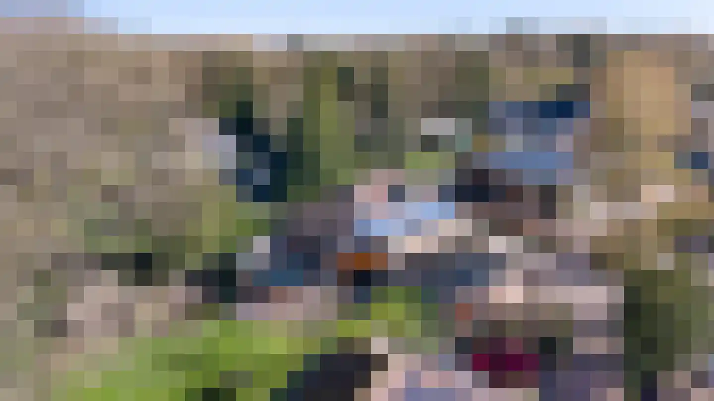 Soerense Zand Noord 18 Eerbeek thumbnail 40