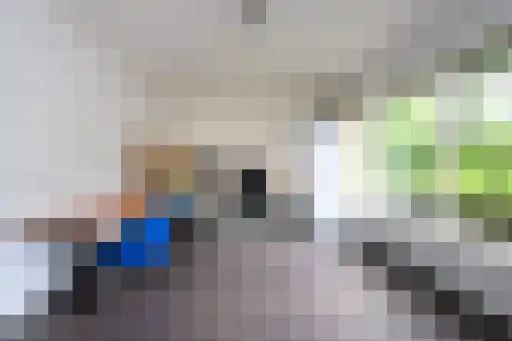 Soerense Zand Noord 24 Eerbeek thumbnail 16