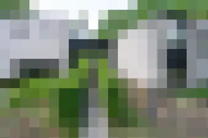 Soerense Zand Noord 24 Eerbeek thumbnail 26
