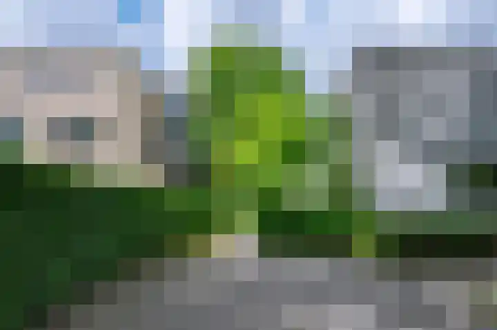 Soerense Zand Noord 24 Eerbeek thumbnail 38