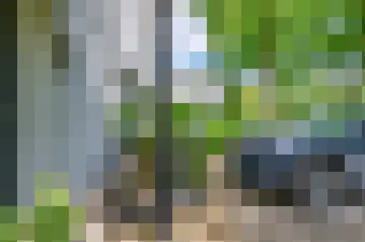 Soerense Zand Noord 24 Eerbeek thumbnail 39