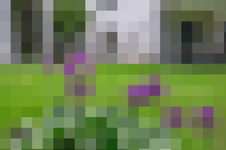 Soerense Zand Noord 24 Eerbeek thumbnail 4