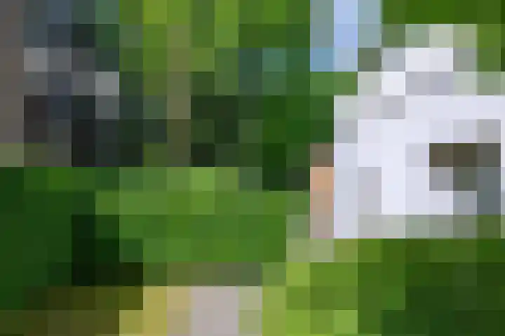Soerense Zand Noord 24 Eerbeek thumbnail 41