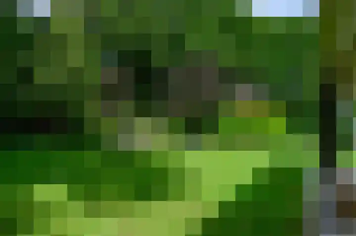 Soerense Zand Noord 24 Eerbeek thumbnail 42