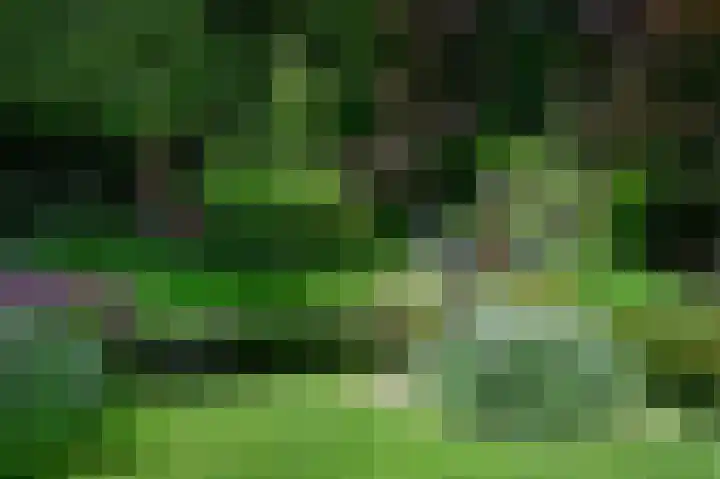 Soerense Zand Noord 24 Eerbeek thumbnail 45
