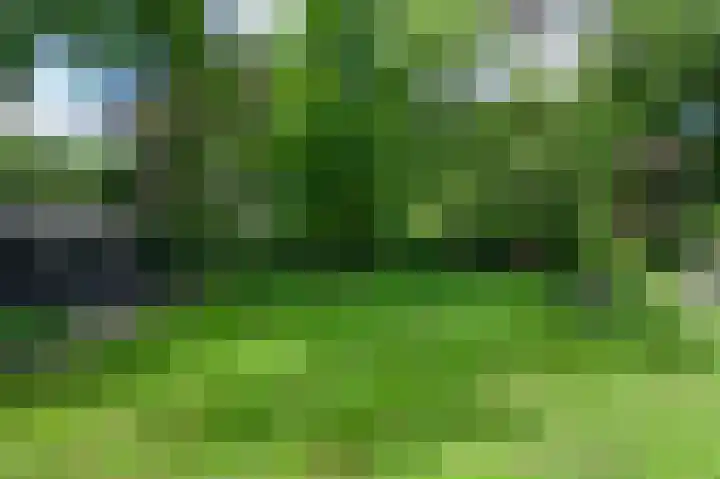 Soerense Zand Noord 24 Eerbeek thumbnail 46