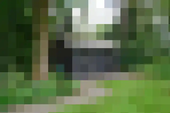 Soerense Zand Noord 24 Eerbeek thumbnail 47