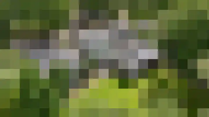 Soerense Zand Noord 24 Eerbeek thumbnail 48