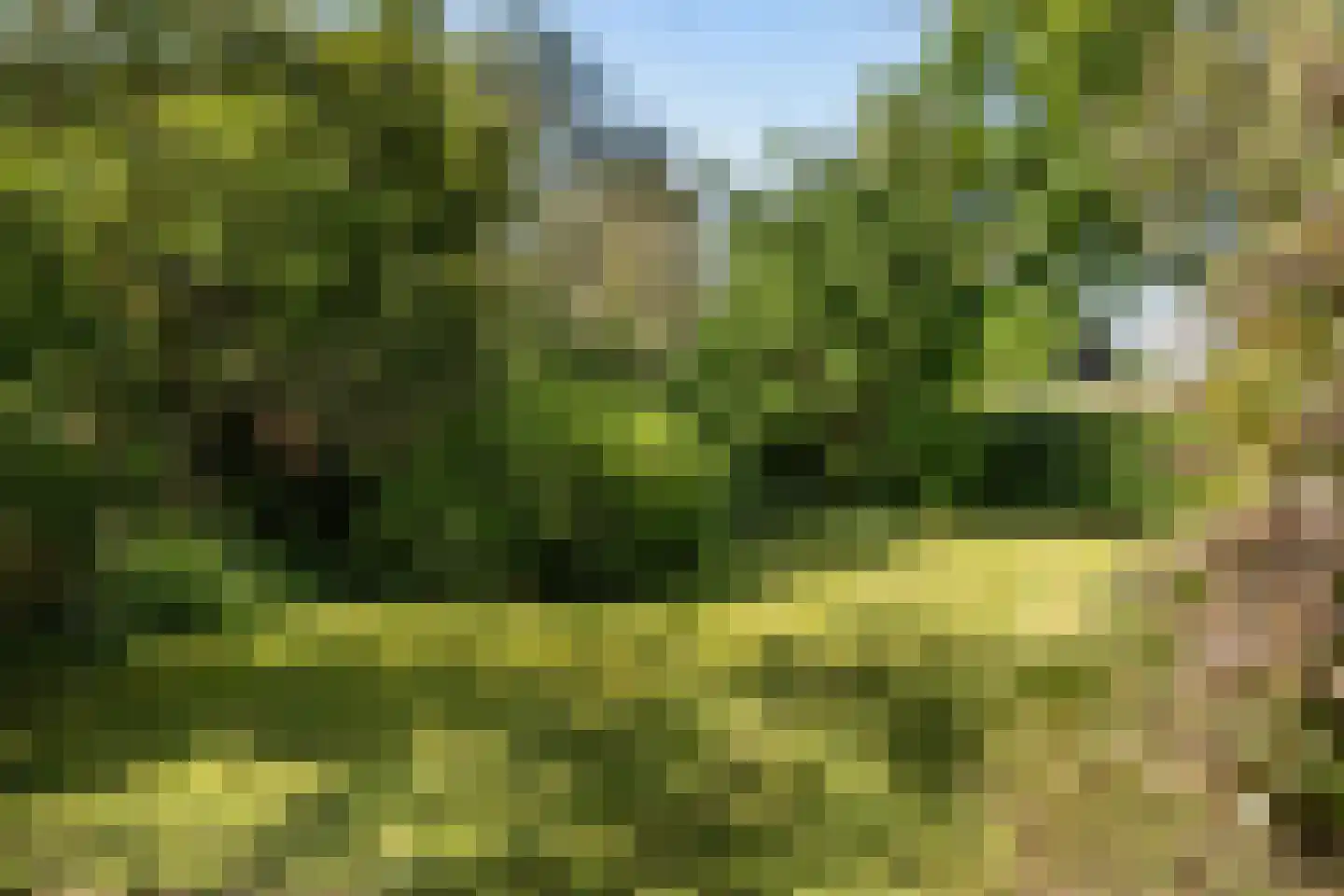 Soerensebeek 26 Zwolle thumbnail 12
