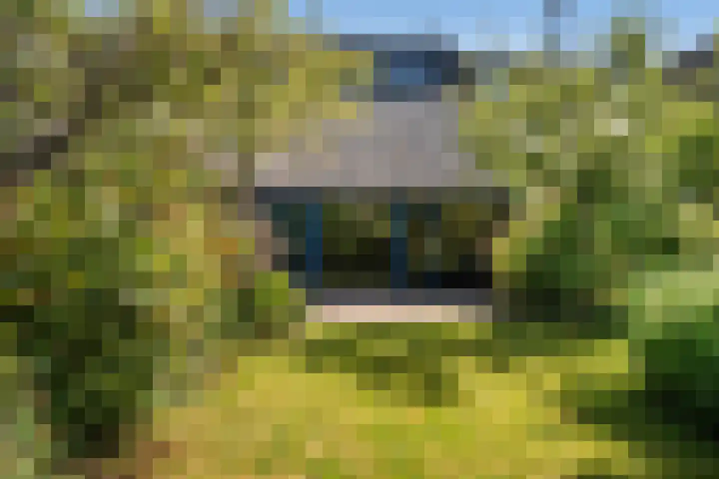 Soerensebeek 26 Zwolle thumbnail 13