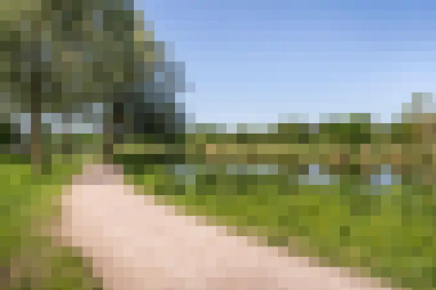 Soerensebeek 26 Zwolle thumbnail 37
