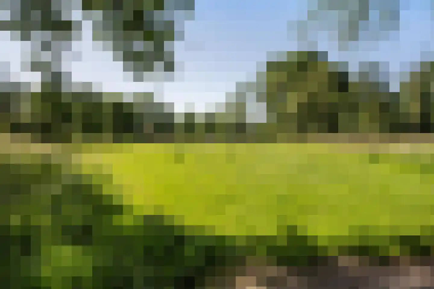 Soerensebeek 26 Zwolle thumbnail 40