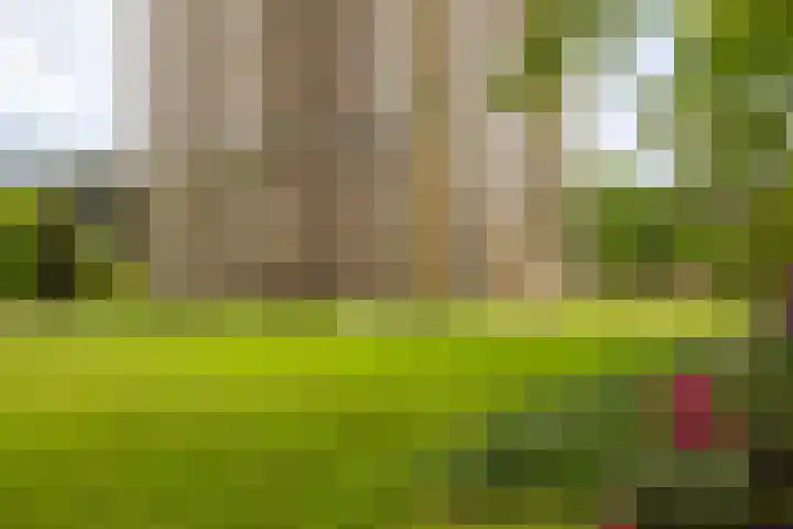 Soerenseweg 125 16 Apeldoorn thumbnail 27