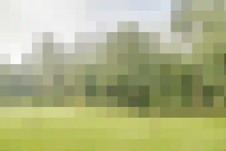 Soerenseweg 125 18 Apeldoorn thumbnail 15