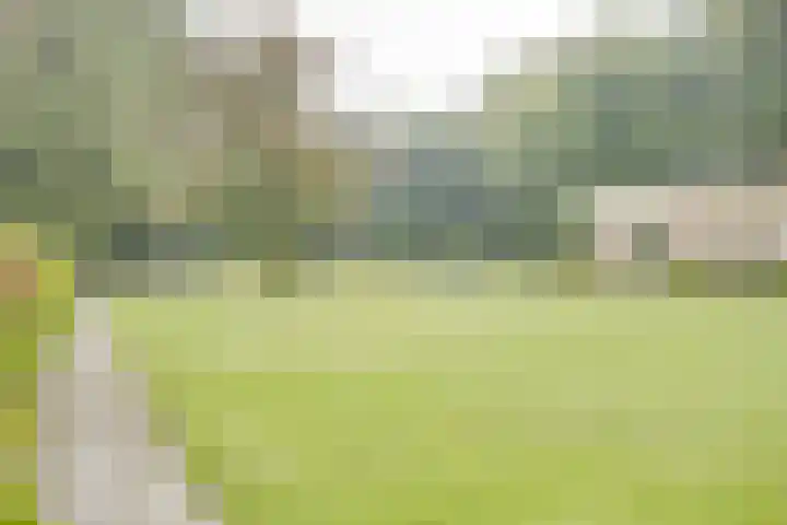 Soerenseweg 125 18 Apeldoorn thumbnail 26