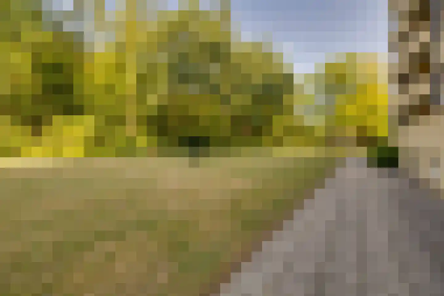 Soerenseweg 125 85 Apeldoorn thumbnail 34