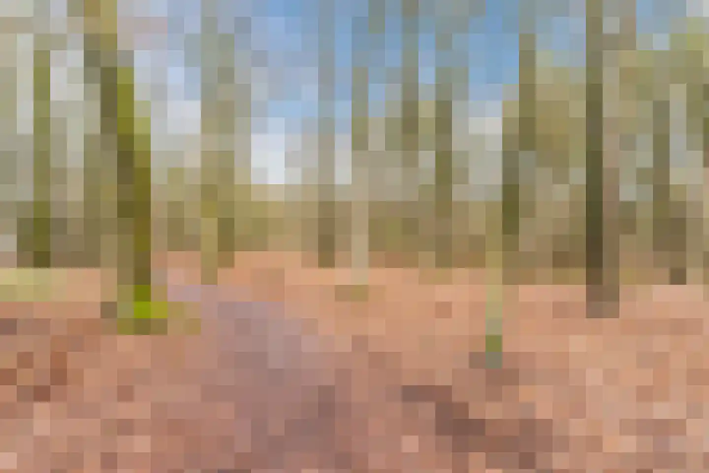 Soerenseweg 125 98 Apeldoorn thumbnail 51