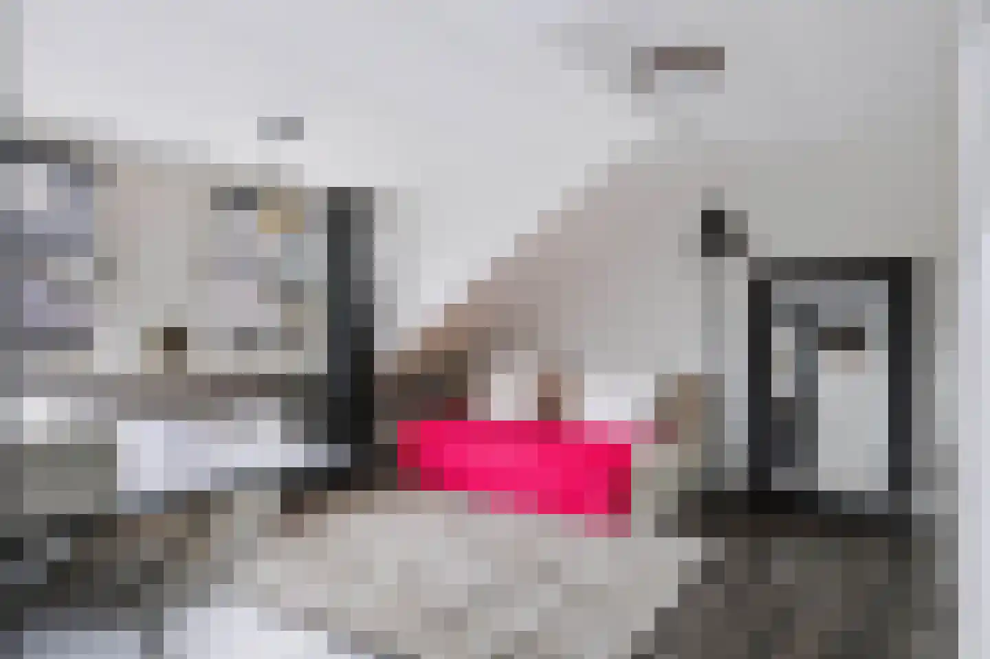 Soerenseweg 18 Apeldoorn thumbnail 33