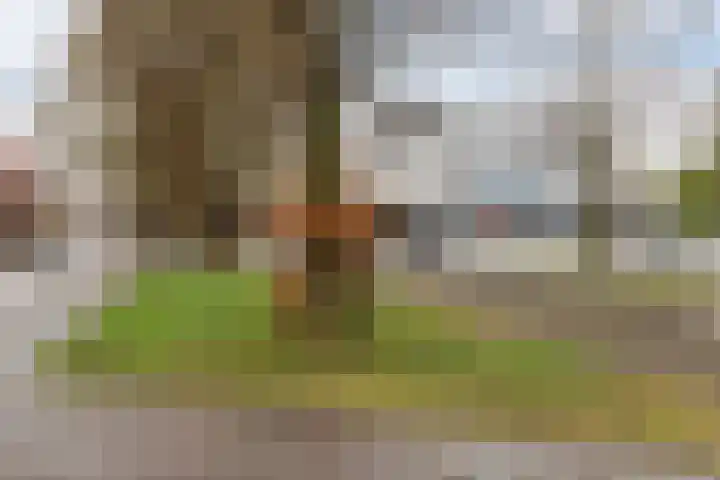 Soerenseweg 28 Apeldoorn thumbnail 32