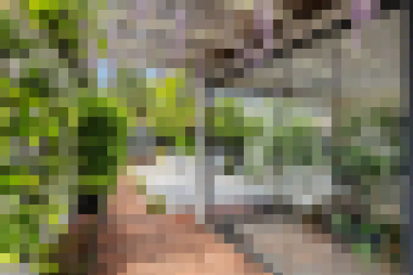 Soerenseweg 32 Apeldoorn thumbnail 38